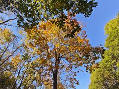 -上海海湾国家森林公园