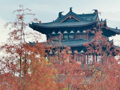 -江心屿景区