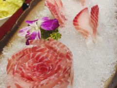 玫瑰鲷鱼-鼎尊锅物料理(五角场店)