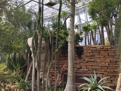 -北京植物园-展览温室