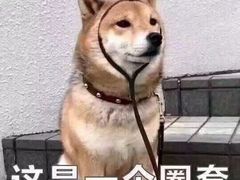 -上海月星家居(澳门路店)