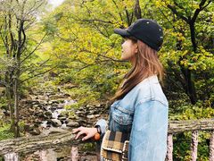 -三块石国家森林公园