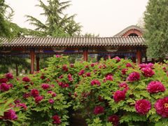 -隆兴寺