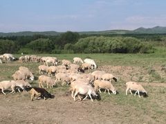 -塞罕坝国家级自然保护区