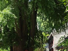 -潭柘寺景区