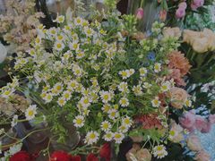 -知物癖(牛王庙店)