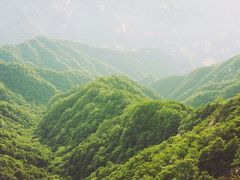 -秦岭风景区