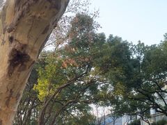 -浙江大学(玉泉校区)