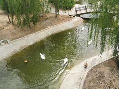 景点-太原动物园