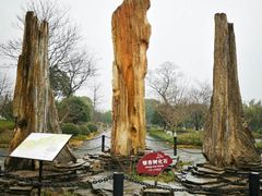 -金钉子远古世界景区