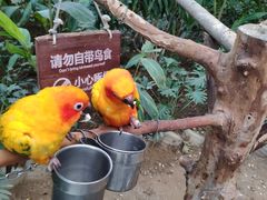 -南宫温泉水世界