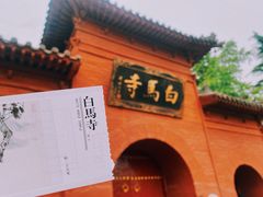 -洛阳白马寺