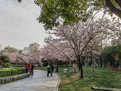 -堤角公园