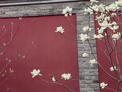 -西安市广仁寺