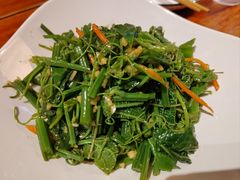 -金子小院