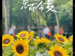 -徐家汇公园