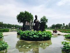 -白洋淀景区