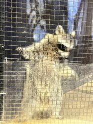 -酷嗒动物文化乐园(cutezoo西溪乐天城店)