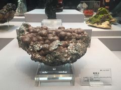 -湖南省地质博物馆