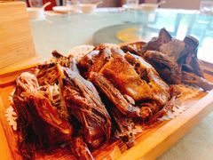 -食家鸽园