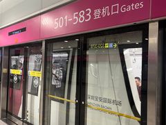 -陈鹏鹏潮汕菜(宝安机场T3航站楼店)