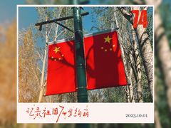 -沈阳鸟岛
