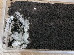 -好利来(木渎店)