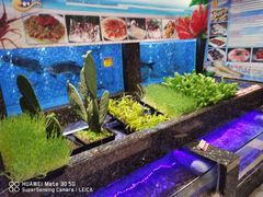 水产区-乾隆美食·本帮菜(黄河路店)