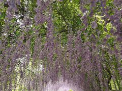 -宝岩生态观光园