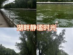 -南长河公园