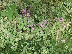 -南通博物苑-崇川人民公园