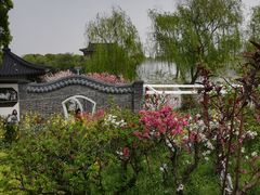 -南汇水蜜桃采摘(大团店)