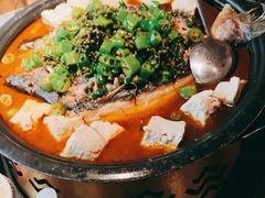 -探鱼·鲜青椒爽麻烤鱼(广州花都来又来店)
