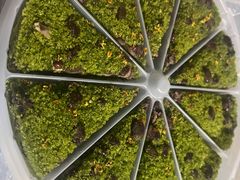 -蟹天蟹地农家菜·阳澄湖大闸蟹(浅水湾店)