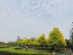 -洨河生态公园
