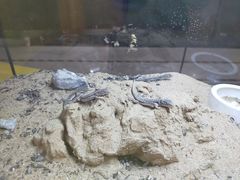 -宁波科学探索中心