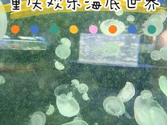 -重庆欢乐海底世界