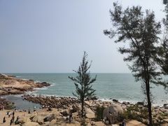 -广东惠东海龟国家级自然保护区