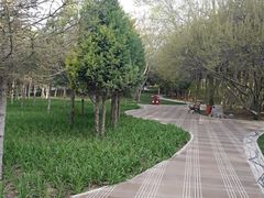 -兰山公园
