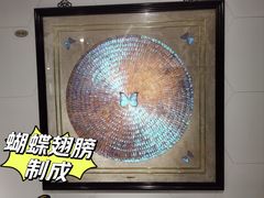 -上海昆虫博物馆