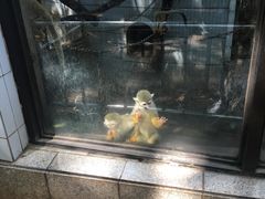 -昆明动物园