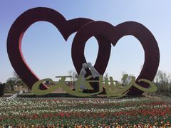 -泰山花样年华景区