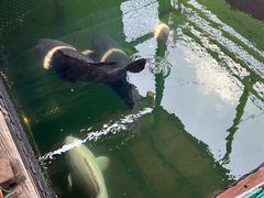 -蓝湾碧波·老字号·疍家非遗海上餐厅