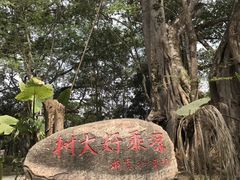 -瑞丽独树成林风景区