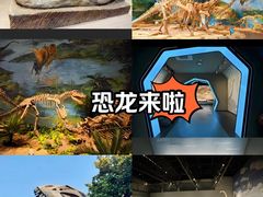 -自贡恐龙博物馆