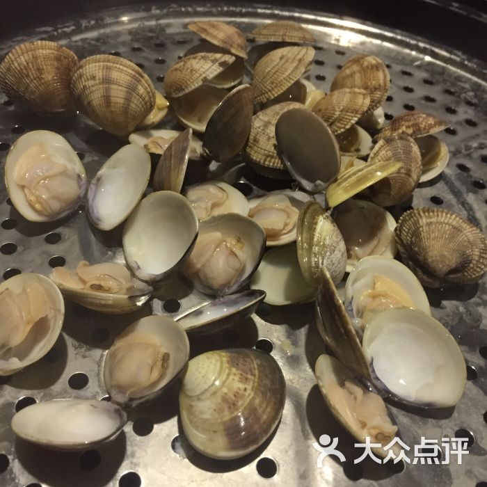 八方海鲜蒸汽火锅花蛤图片 - 第1923张
