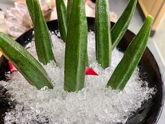 -煲宫猪肚鸡(晶品店)