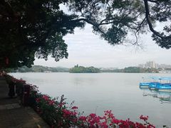 -惠州西湖