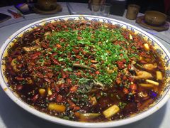 来凤鱼-新概念来凤鱼(璧山店)