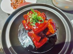 权茂红烧肉-权茂上海菜(殷行路店)